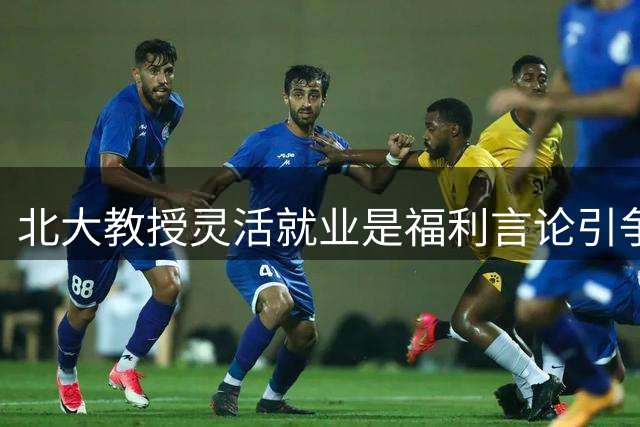 北大教授"灵活就业是福利"言论引争议 折射精英与底层认知鸿沟